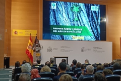 Premios-Arbol-y-Bosque-del-Ano-2025-02