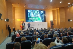 Premios-Arbol-y-Bosque-del-Ano-2025-05