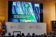 Premios-Arbol-y-Bosque-del-Ano-2025-06