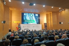 Premios-Arbol-y-Bosque-del-Ano-2025-07