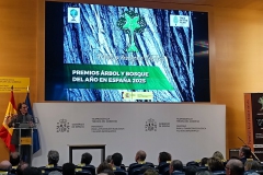 Premios-Arbol-y-Bosque-del-Ano-2025-08