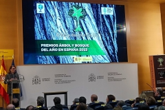 Premios-Arbol-y-Bosque-del-Ano-2025-09