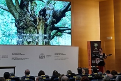 Premios-Arbol-y-Bosque-del-Ano-2025-13