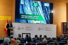 Premios-Arbol-y-Bosque-del-Ano-2025-17