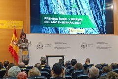 Premios-Arbol-y-Bosque-del-Ano-2025-21