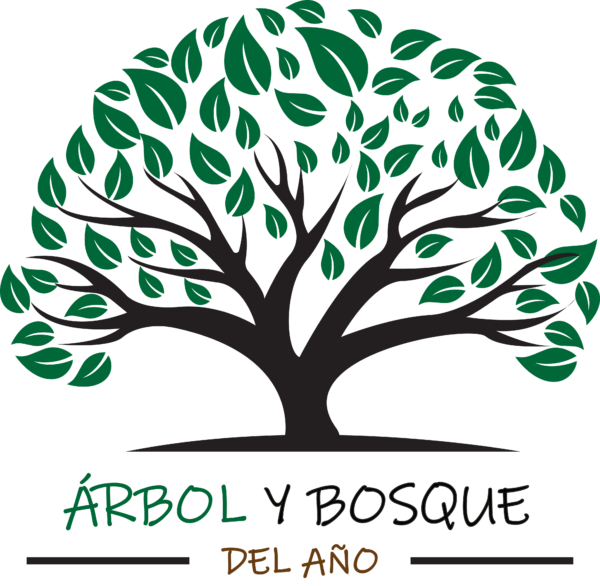 arboleuropeo.es